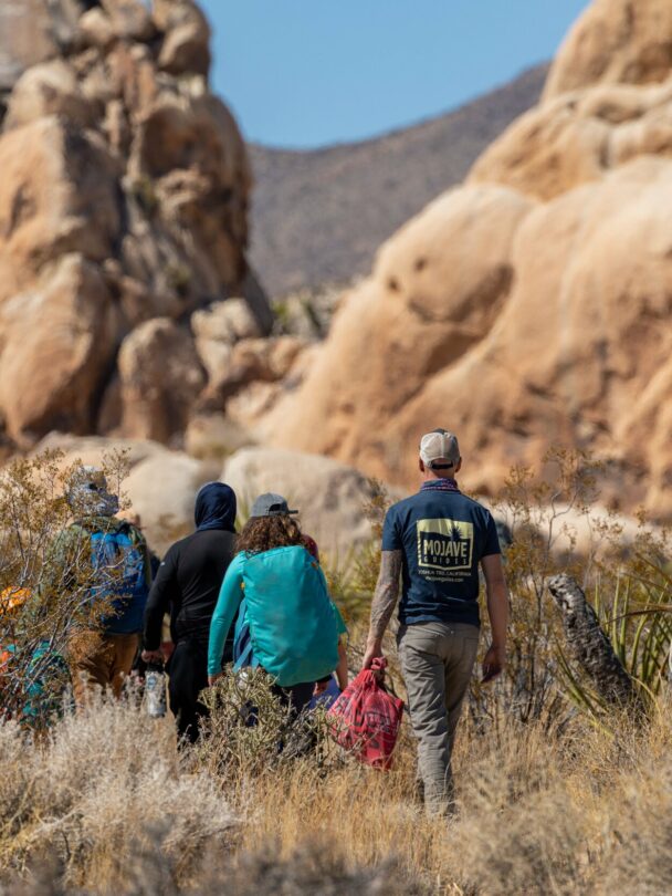 Day Hikes in Joshua Tree National Park