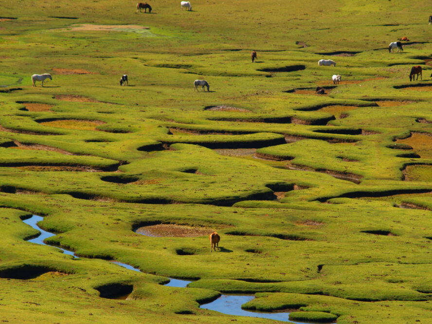 Spectacular green landscape at Lac de Nino on Corsica Island.