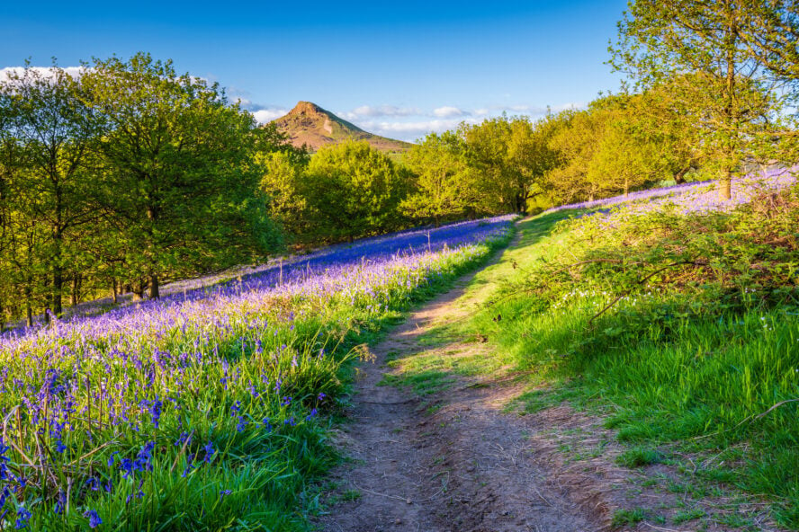 north york moors walks