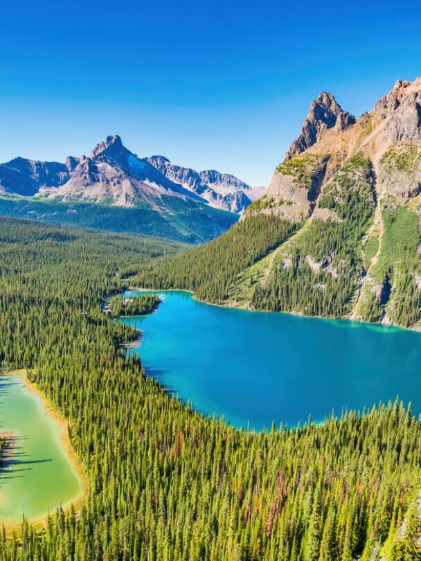 Guided Canadian Rockies hike