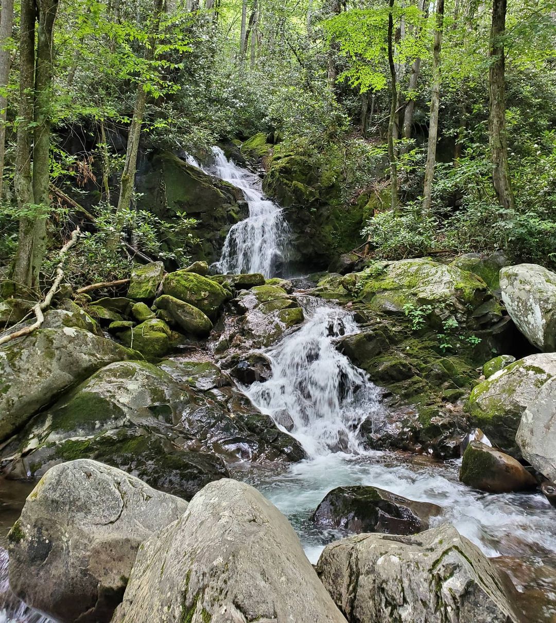 hiking tours asheville