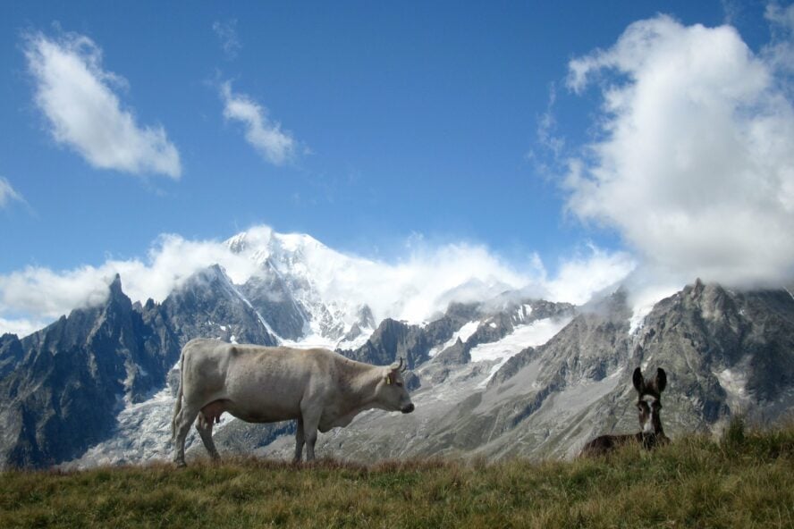 tour du mont blanc early june