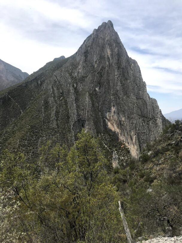 Guided rock climbing at El Potrero Chico