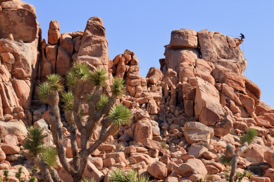  Route finding, anchor building and safely rappelling are vital skills for your Joshua Tree quiver