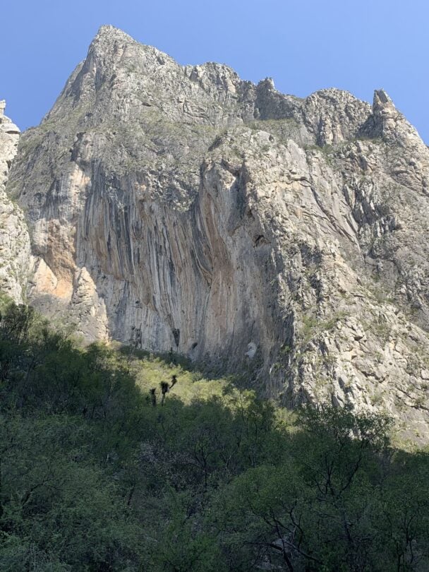 Guided rock climbing at El Potrero Chico