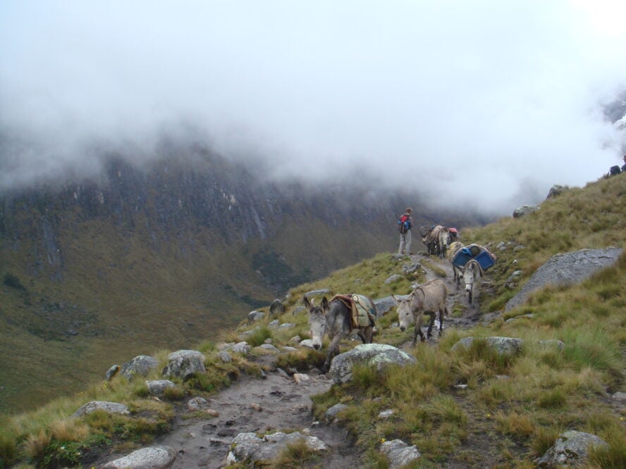 santa cruz trekking