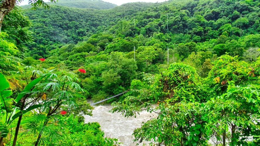 Jukumari river