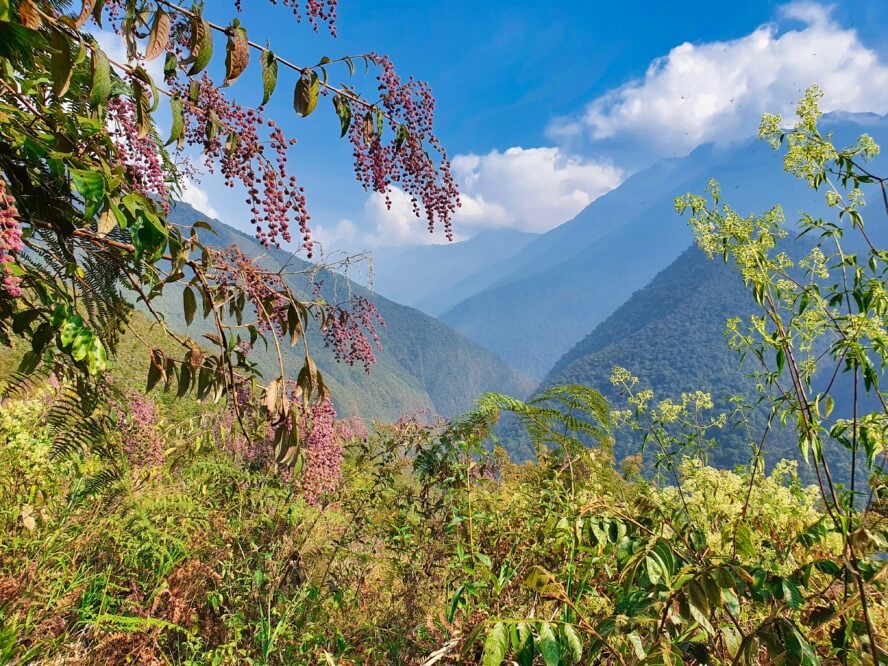 Bolivia hiking