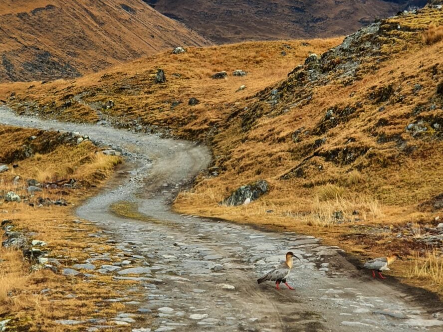 choro trek tour