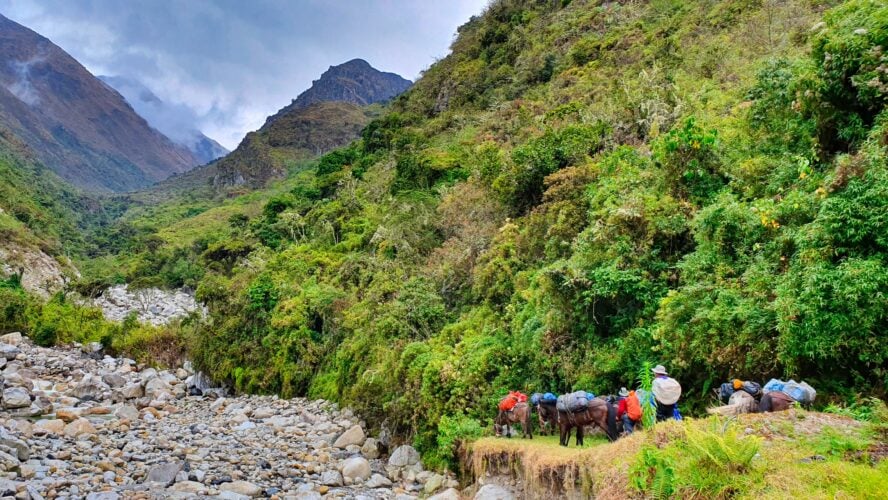 El Choro Trek