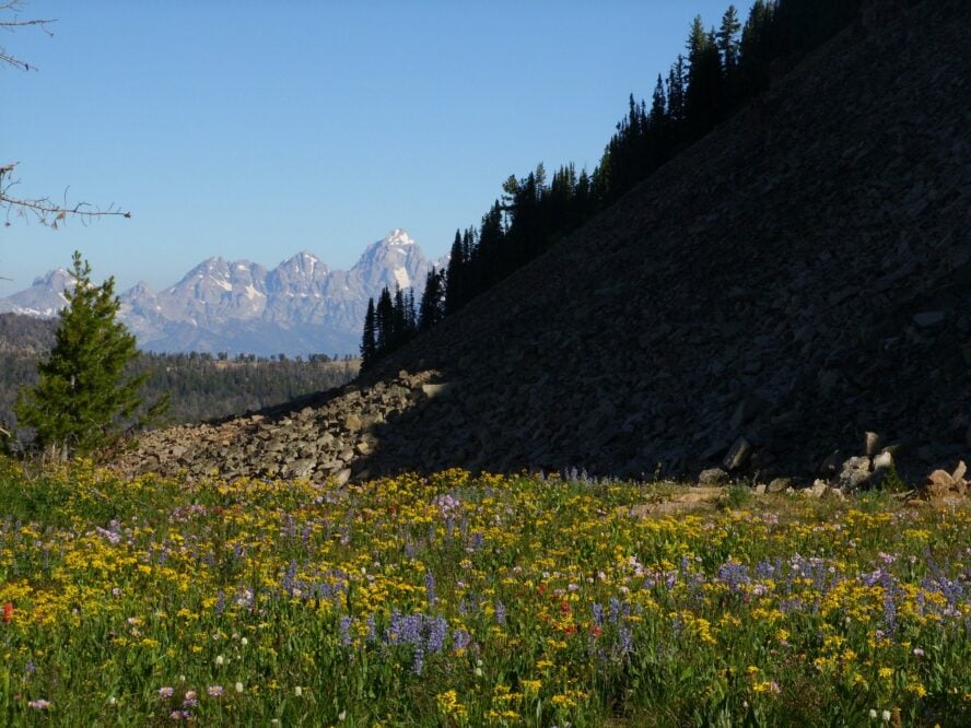 In the summer, Goodwin Lake’s high alpine meadows are full of vibrant flowers.