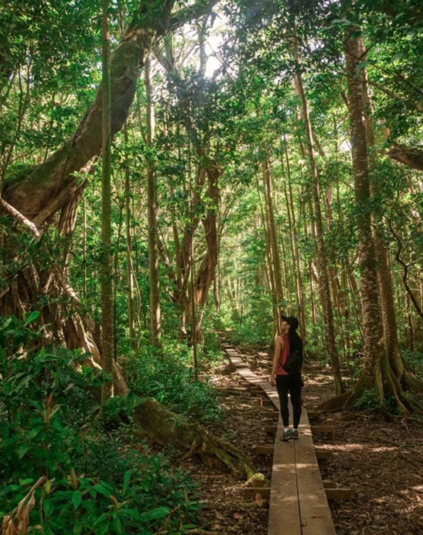 Private Hiking Tours on Oahu, Hawaii