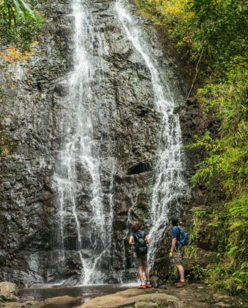 Private Hiking Tours on Oahu, Hawaii