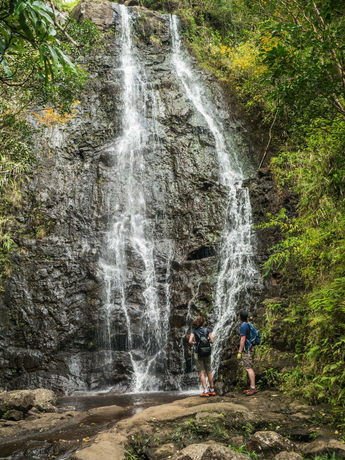 oahu guided hiking tours