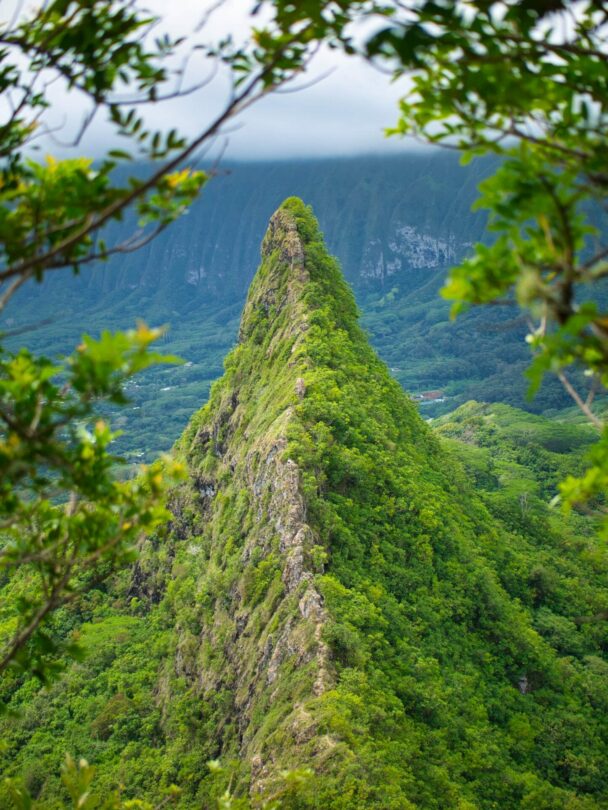 Private Hiking Tours on Oahu, Hawaii