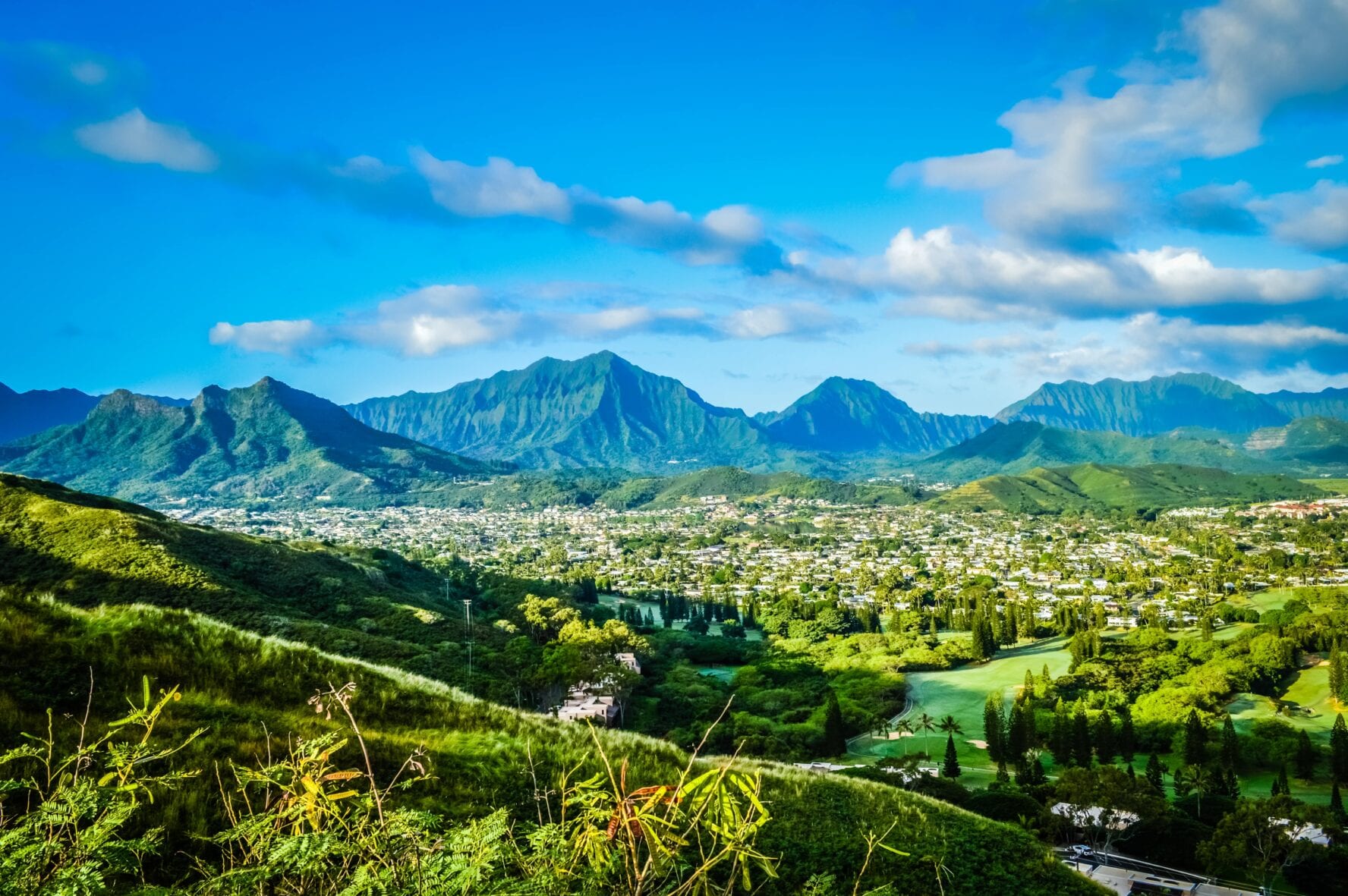 Vistas from Oahu hiking trail