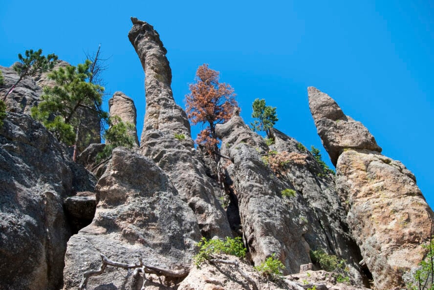 Custer　State　Park,　SD　Rock　Guided　in　Climbing　57hours