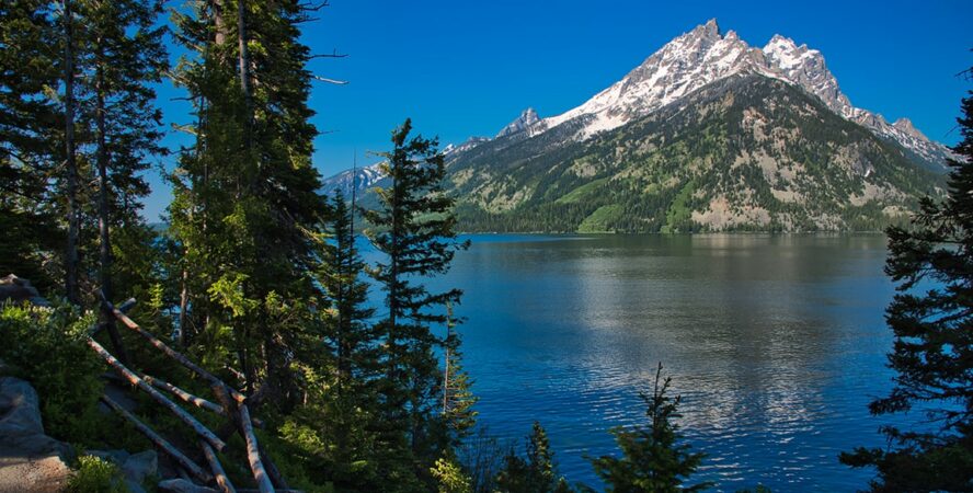 Jenny Lake is one of my favorite places to relax and take in the scenery.