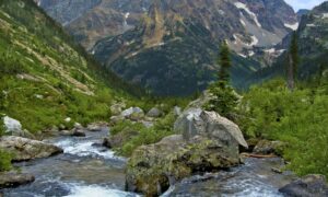 Cascade Canyon, the glacially carved u-shaped canyon, offers up easy access to the backcountry.