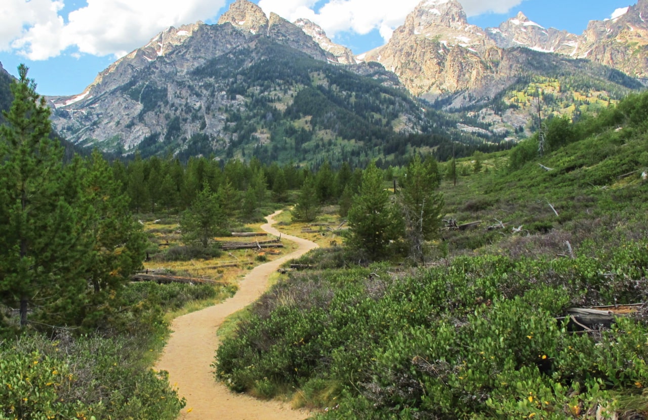 The 5 Best Hikes In and Around Grand Teton National Park The 5 Best Hikes In and Around Grand Teton National Park