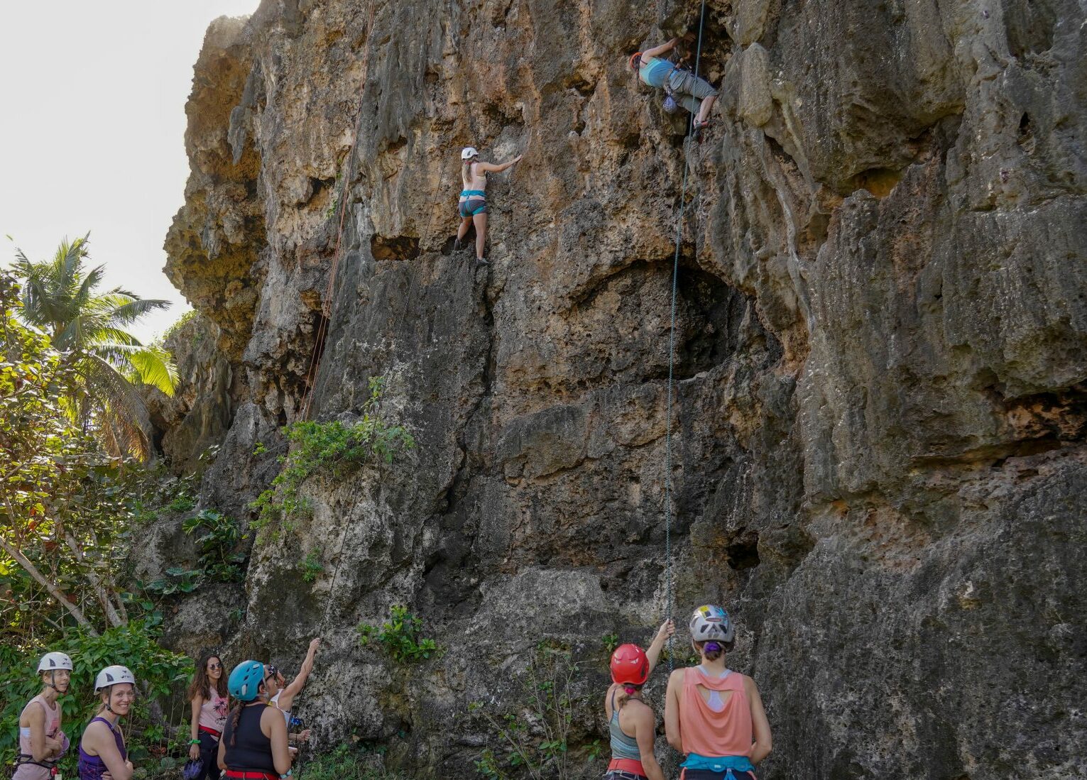 Rock Climbing in Puerto Rico
