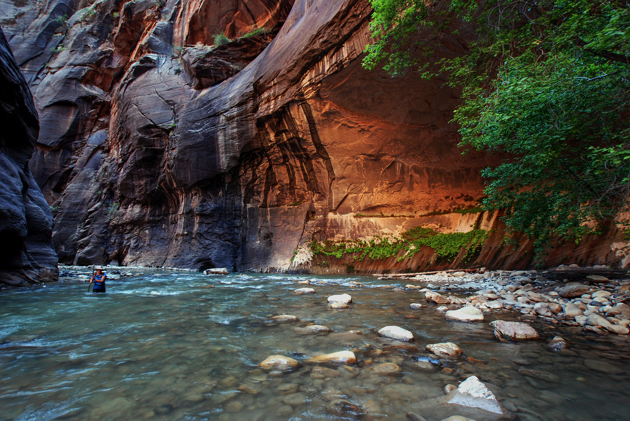 Hiking the Zion Canyon Narrows