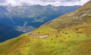 Switzerland MTB