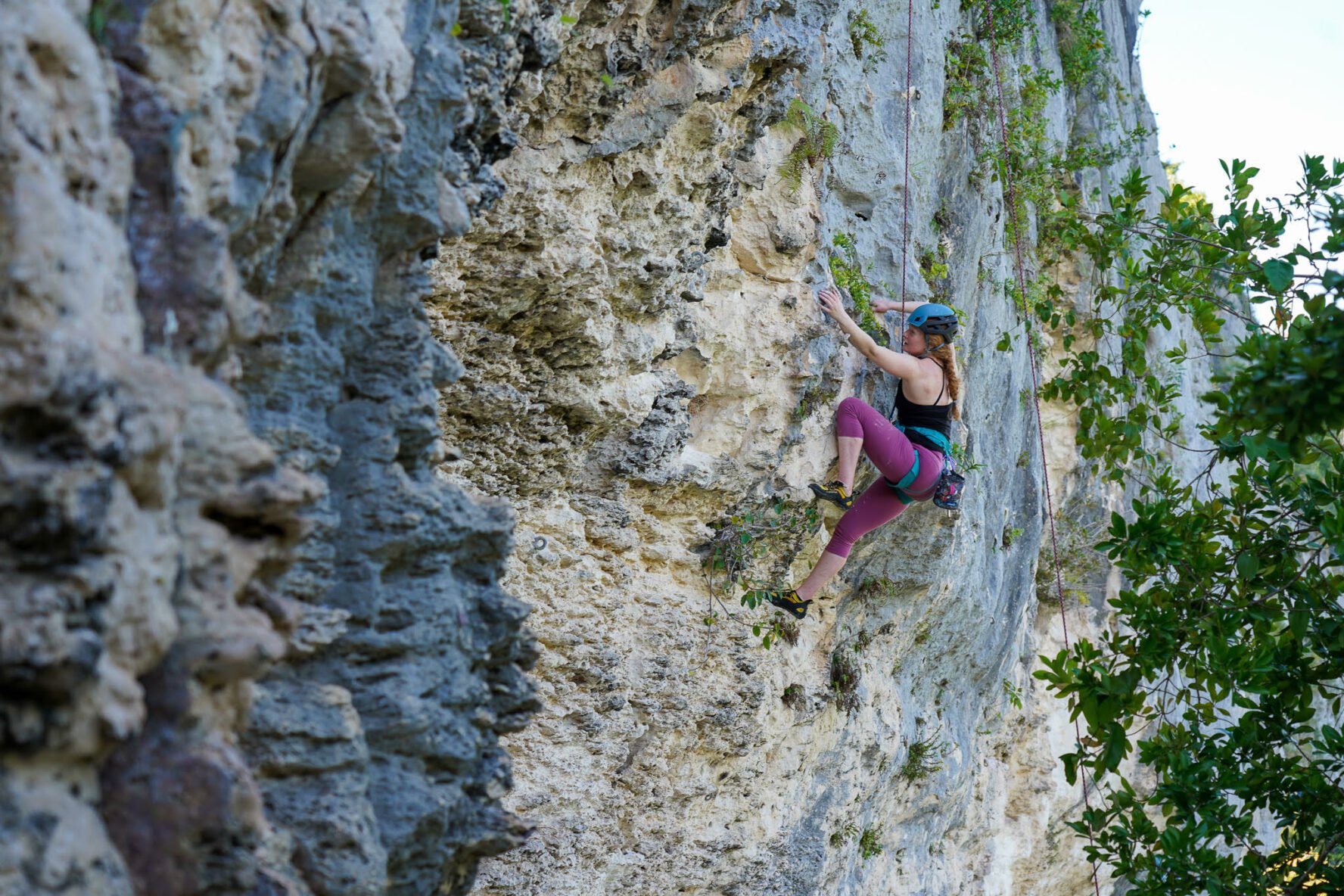 Rock Climbing Puerto Rico