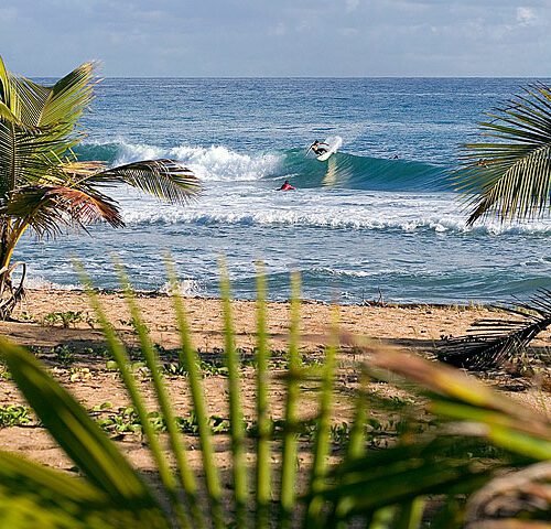 Surfing in Puerto Rico, beach and waves framed by a couple of palm trees