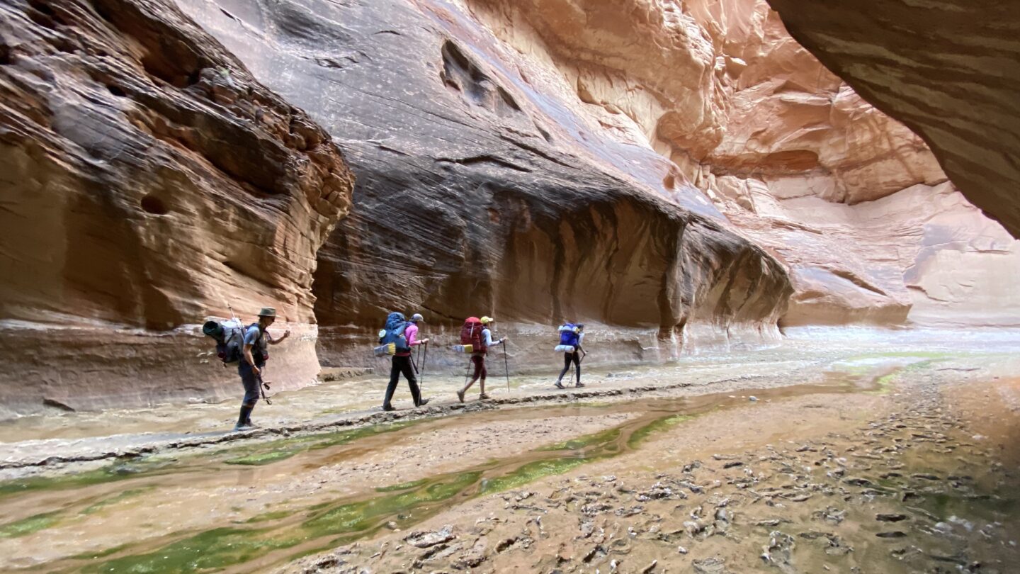 Paria Canyon