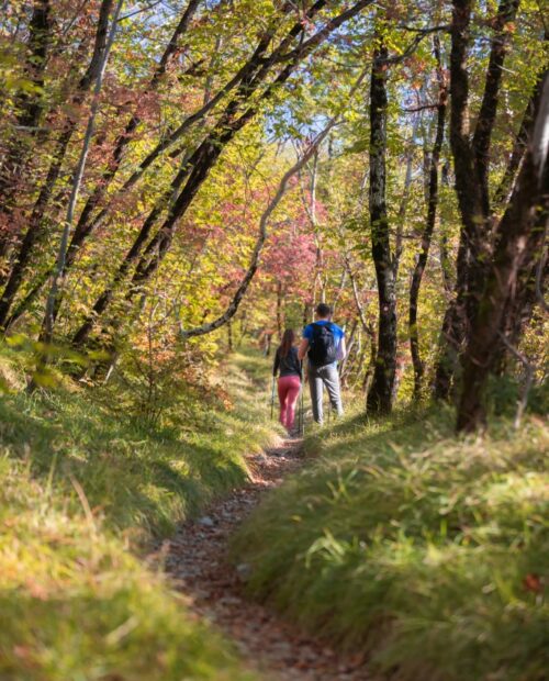 Hiking the Karst and Grotta Gigante