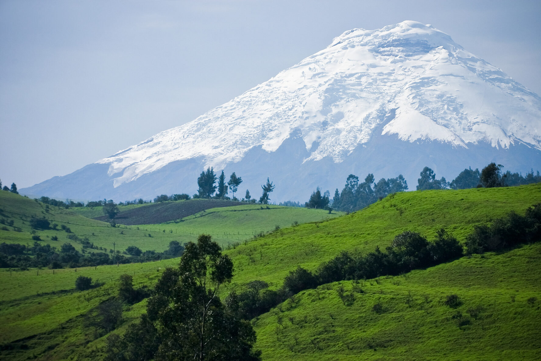 Snow-capped Cotopaxi Volcano rising abruptly from the verdant plateau in Ecuador’s Avenue of Volcanoes.