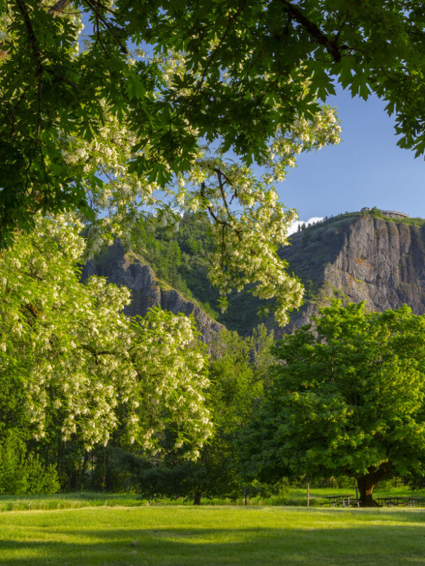 People Rock Climbing in Rooster Rock State Park