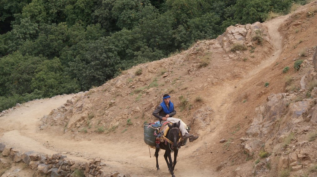 Mule trail, Morocco