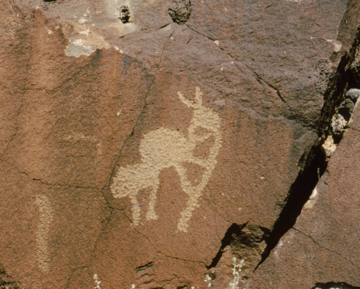 Native American rock art showing the figure of Kokopelli.