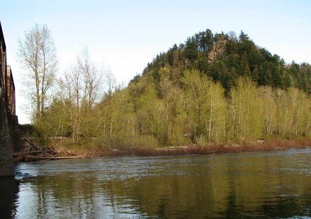 Broughton's Bluff is the 160 foot geologic boundary between the Cascade Mountain Range and the Willamette Valley