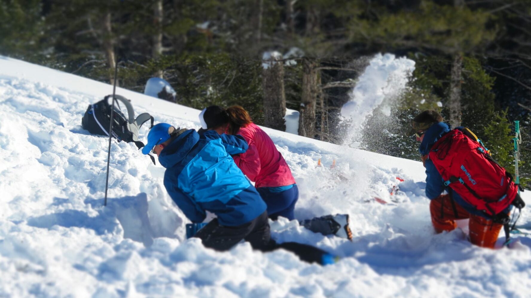 AVI course in RMNP