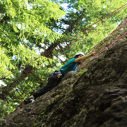 After 100 feet of climbing you ascend above the canopy and are greeted by the sun