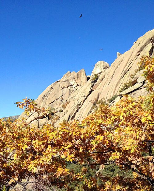 Sunny day and rocks in La Pedriza