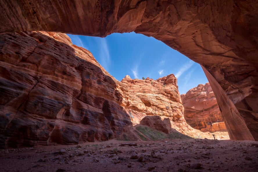 One of the things that make the Paria Canyon Wilderness so special to me are the unique geologic formations, like this alcove in Buckskin Gulch. Hiking here you get to see alcoves, fins, corridors and other unusual features that most people never will.