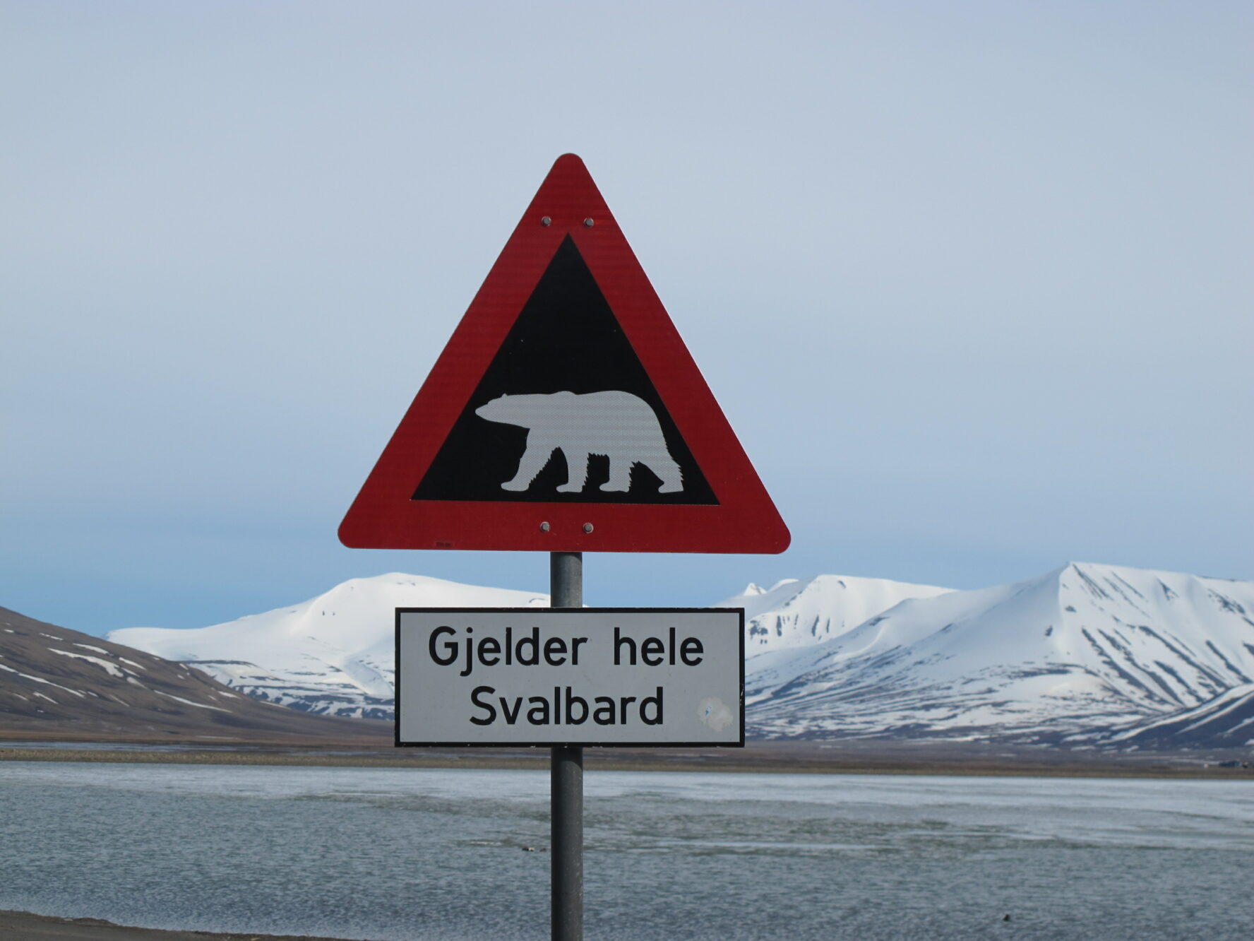 A sign of a polar bear on a Svalbard road