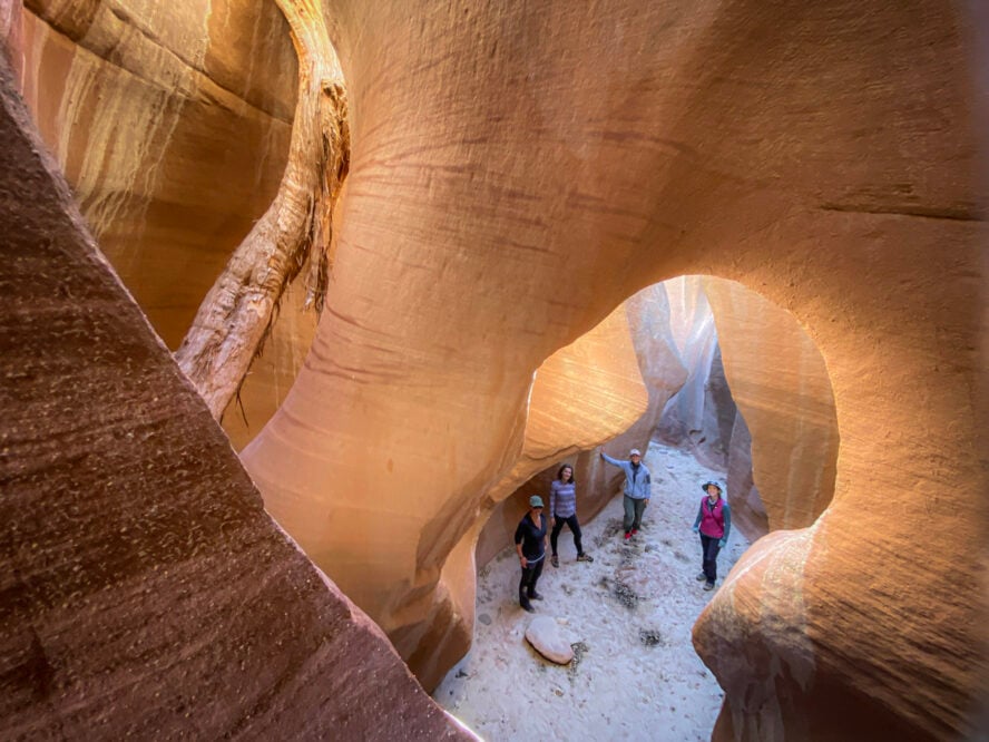 The Paria River Canyon’s steep sedimentary walls have been eroded over millions of years resulting in maze-like passageways. 