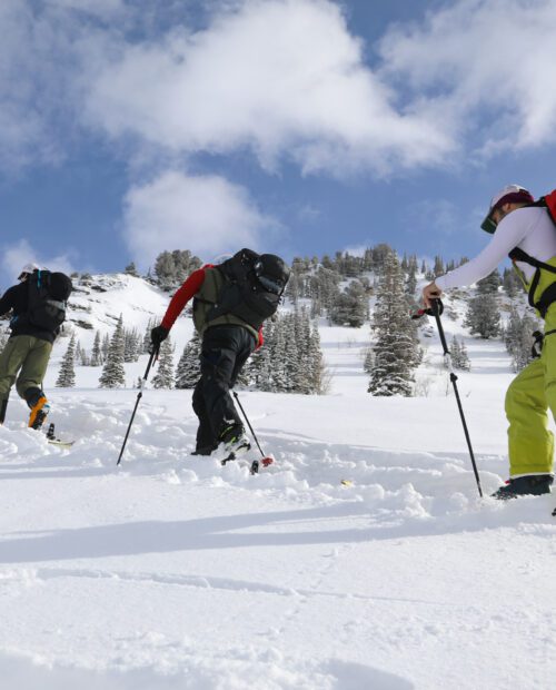 Skiers learning about the avalanche