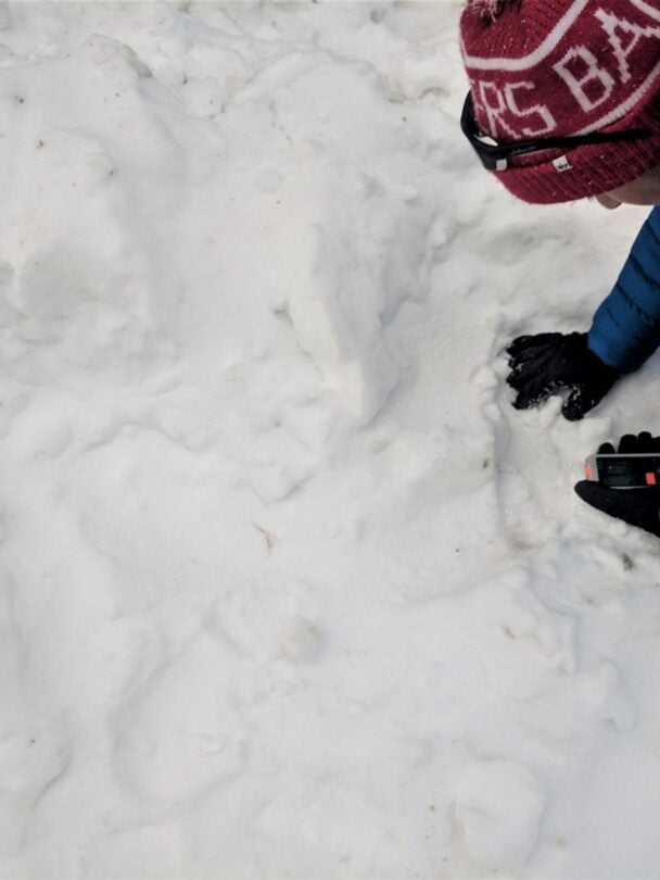 Skiers learning about the avalanche