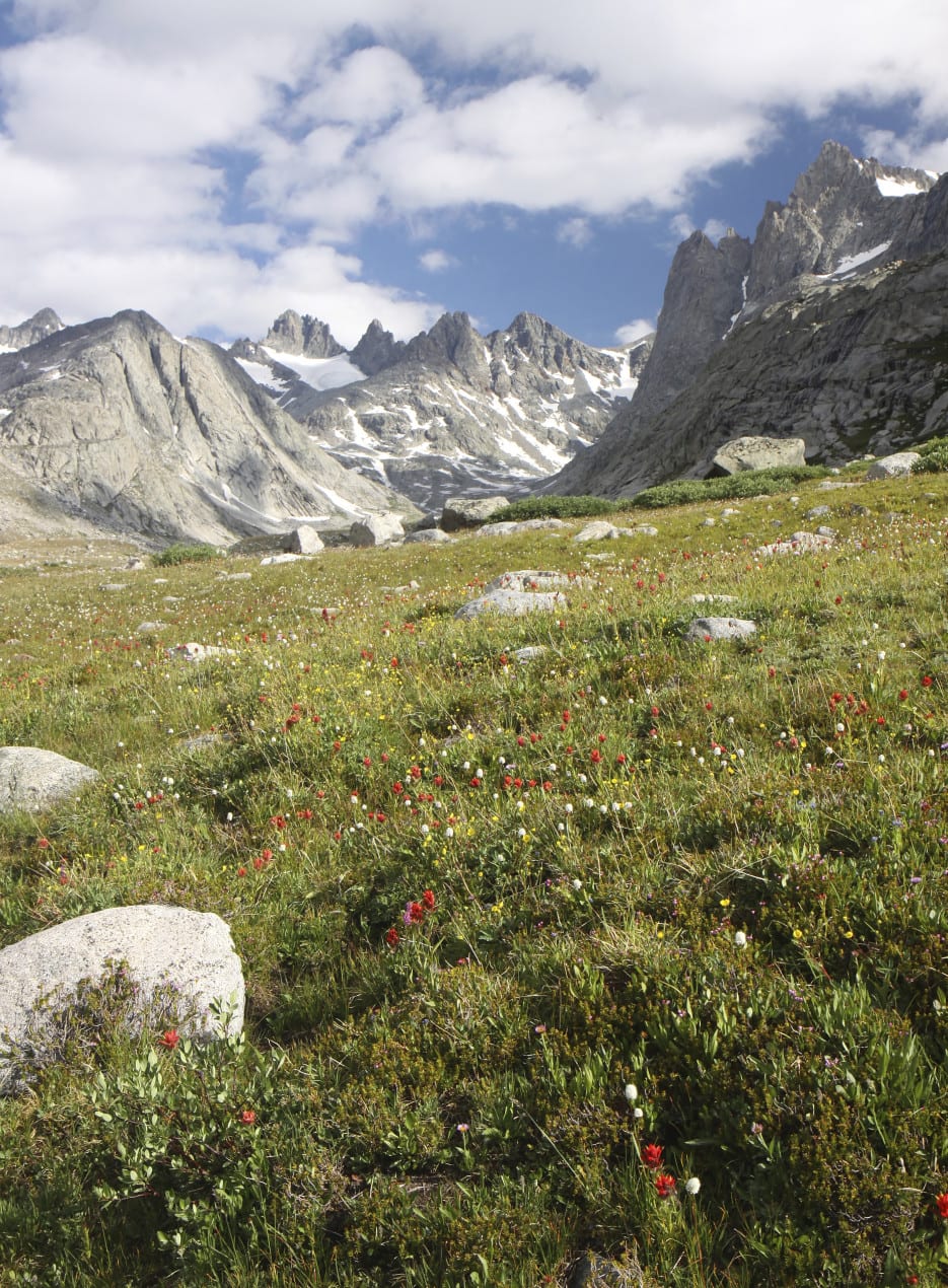 Splendid views of the range