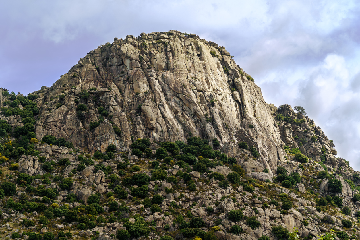 Landscape, flowers and mountains in Riaza Spain