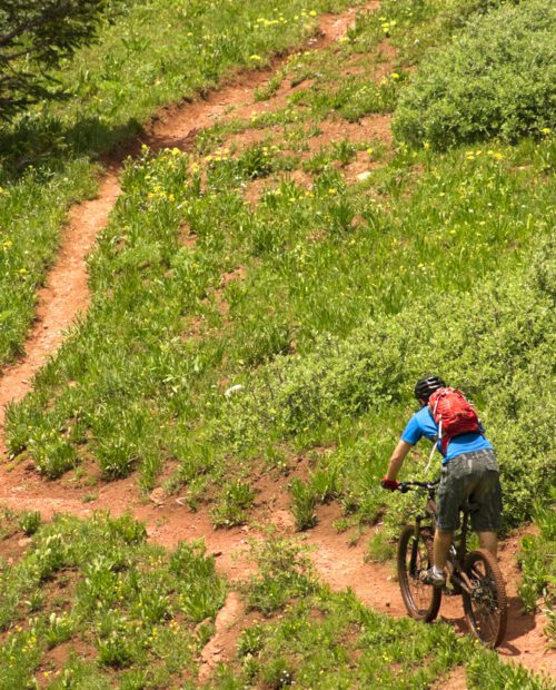 "mountain biker man on singletrack path surrounded by green mountain meadow while riding the colorado trail near molas pass in the san juan mountains above durango, colorado, usa. horizontal composition."