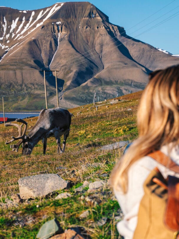 svalbard hike tour explore sail