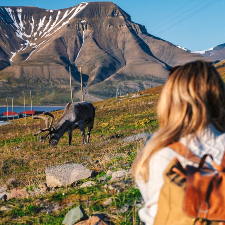Sail and Explore Svalbard With a Guide | 57hours