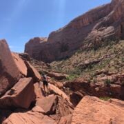 syncline loop rock climbing